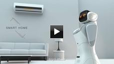 Multi-functional Intelligent Robot