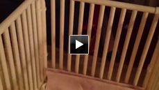 Indoor Plastic Puppy Crate