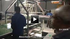 PS foam absorbent tray food box container plate making machine