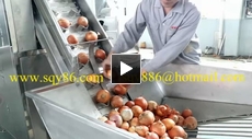 High Quality Big Onions Dry Skin Peeling and Removing Machine