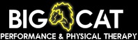 Big Cat Performance  Physical Therapy