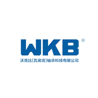 WKB Wafangdian Bearing Technology Co,. Ltd.