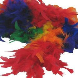 Feather Boa- Rainbow- 6 Foot