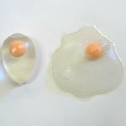Splat Egg Ball- 1 Dozen Display Box
