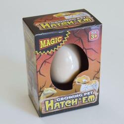 Large Growing Dinosaur Egg- 1 Dozen Display Box