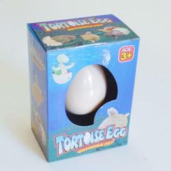 Large Growing Turtle Egg- 1 Dozen Display Box