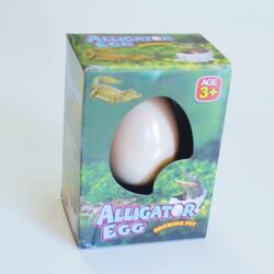 Large Growing Alligator Egg- 1 Dozen Display Box