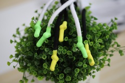 cords