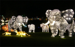 Amimal Shaped Lighting