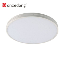Smart WiFi Ceiling Light