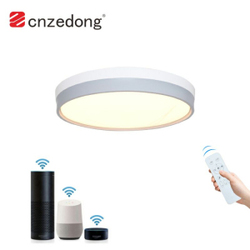 LED Ceiling Light