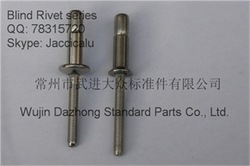 Dia. 3/16 - 1/4 stainless steel blind rivet for automotive and roof construction industry