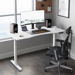Adjustable sit to stand motorized standing desk with USB ports