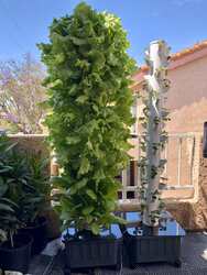 Hot Sale Hydroponics Growing Tower Garden Vertical Hydroponic Grow Tower System