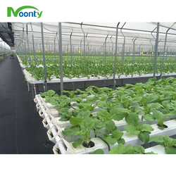 Nft Grow System Farm Hydroponics NFT Channel System Movable Lid Channel for Growing Leafy Vegetable