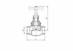 Bronze Globe Valve