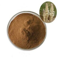 Cistanche Tubulosa Extract Verbascoside 9%min