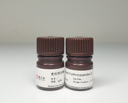 Recombinant Carboxypeptidase B?with His Tag?