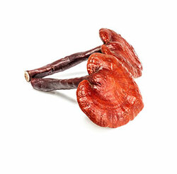 Organic Monk Fruit Erythritol