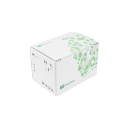 Mycoplasma Pneumoniae Fluorescent Polymerase Chain Reaction Diagnostic Kit