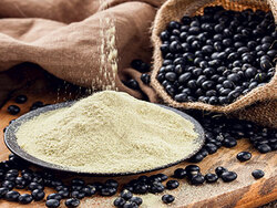 Soybean Powder for Cheese