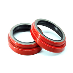 NQKSF Rubber Gasket Oil Seal Huge Inventory of TC SC Oil Seal