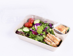 Biodegradable Food Packaging