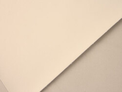 CAR LEATHER