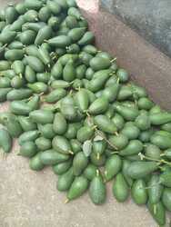 Fresh Avocado