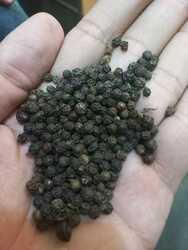 Whole Black Pepper