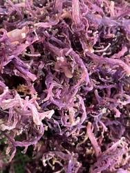 THE BEST PURPLE SEA MOSS/ Ms. Stella:  84 325057499