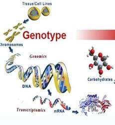 Resequencing Metabolome