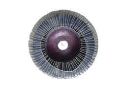 Vertical Flap Disc