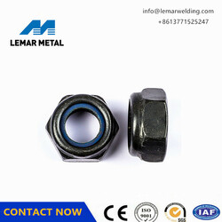 Stainless steel nylon lock nut