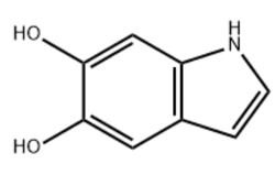 5,6-DIHYDROXYINDOLE_ CAS:3131-52-0_DHI