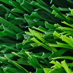 6s Type Monofilament Sports Grass