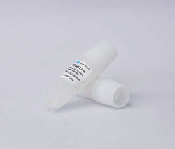 EBC-1 Luciferase Cell Line