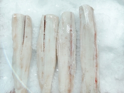 blue shark meat
