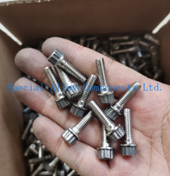 A286 12 POINT FLANGE SCREWS