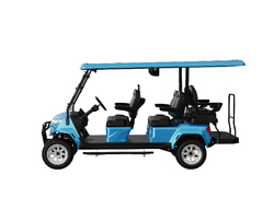 4 2 Seaters Electric Golf Cart