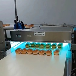 Food Conveyor Sterilization - UV-C