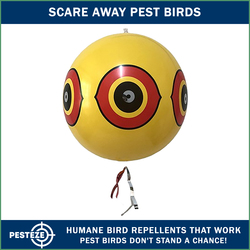 PESTEZE® USA Large 15 Yellow Bird Predator-Eye Balloon Decoy 1 Pack Deters Unwanted Pest Birds