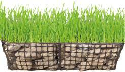 Plastic Geogrid For Dune Reconstruction