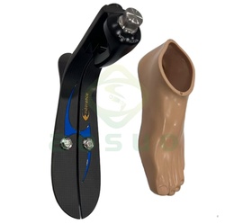 Endurance carbon fiber foot
