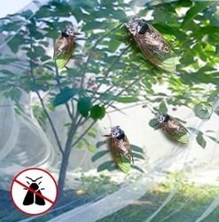 Anti Insect Net