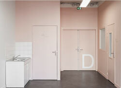 LHSH Double Fire Safety Door
