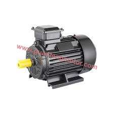 IE2 Three-Phase Asynchronous Electric Motor