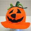 Hat- Pumpkin- 7 Inch X 12 Inch