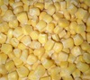 IQF Frozen Sweet Corn Kernel