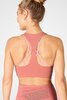 Kessler High Impact Sports Bra